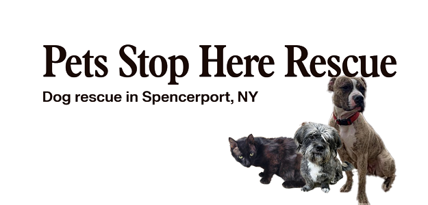 Pets Stop Here Rescue